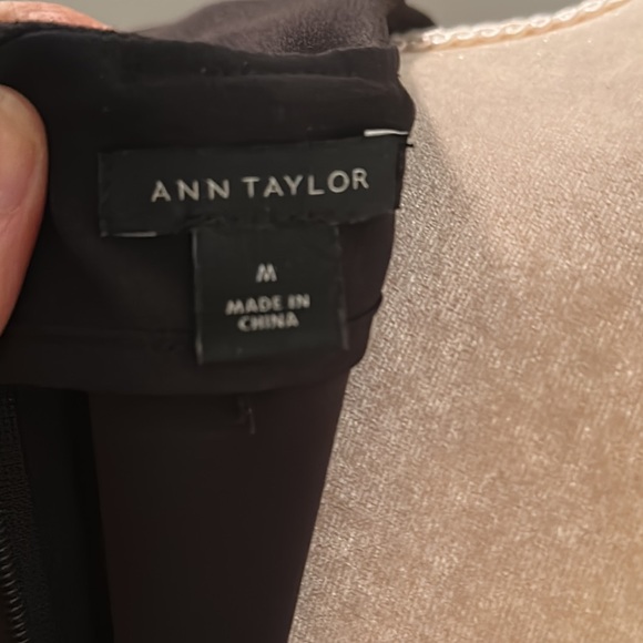 Ann Taylor Bell Sleeve Too - Picture 8 of 11